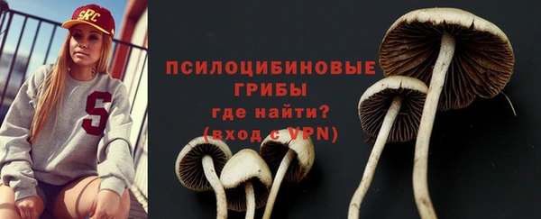 шишки Володарск