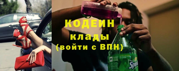шишки Володарск