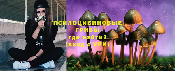 шишки Володарск