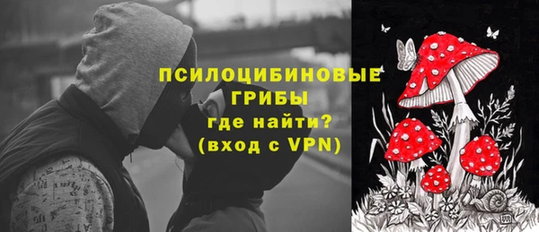 шишки Володарск