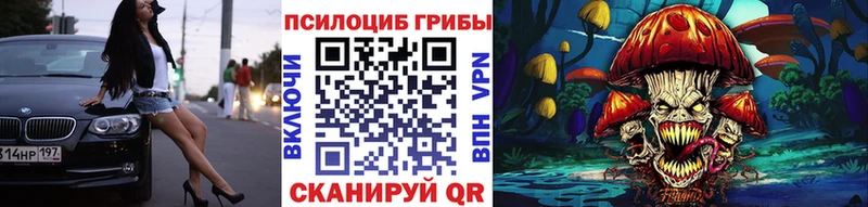 купить наркотики цена  Камышин  darknet формула  Галлюциногенные грибы прущие грибы 