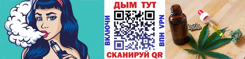 как найти Камышин Канабис сатива